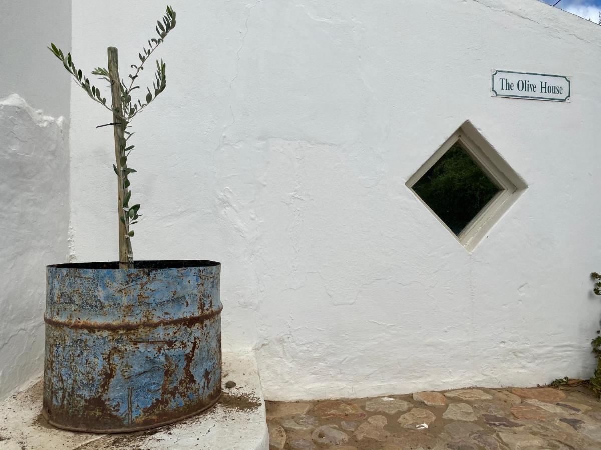 The Olive House, Prince Albert Buitenkant foto