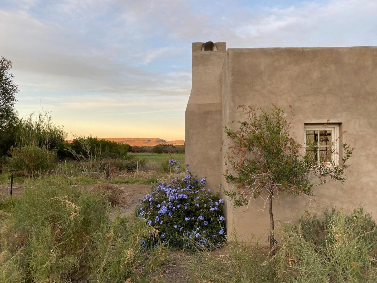 The Olive House, Prince Albert Buitenkant foto