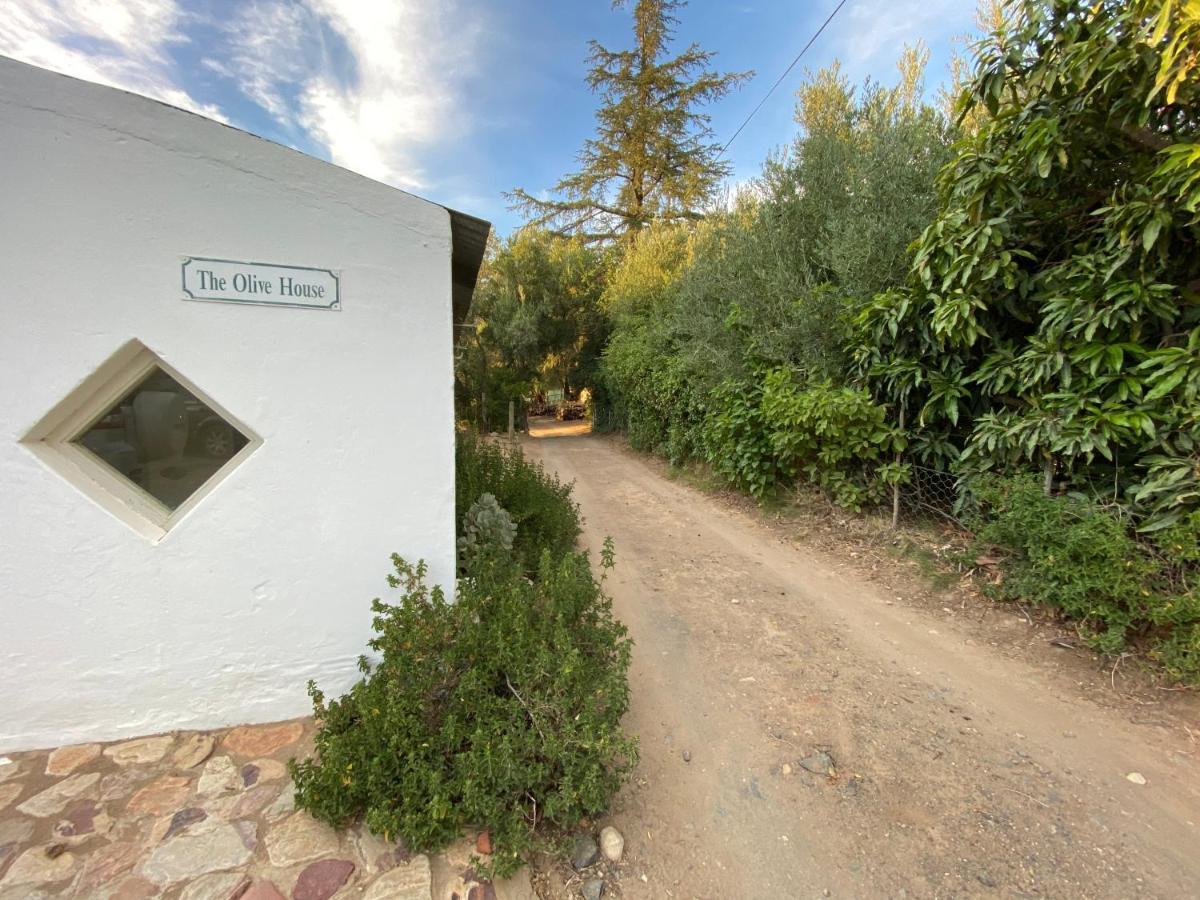 The Olive House, Prince Albert Buitenkant foto