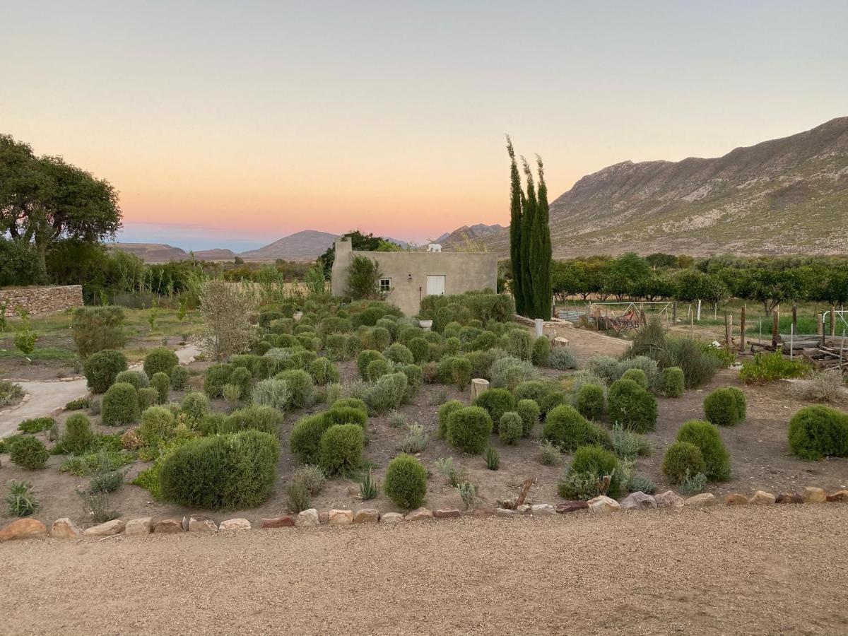 The Olive House, Prince Albert Buitenkant foto