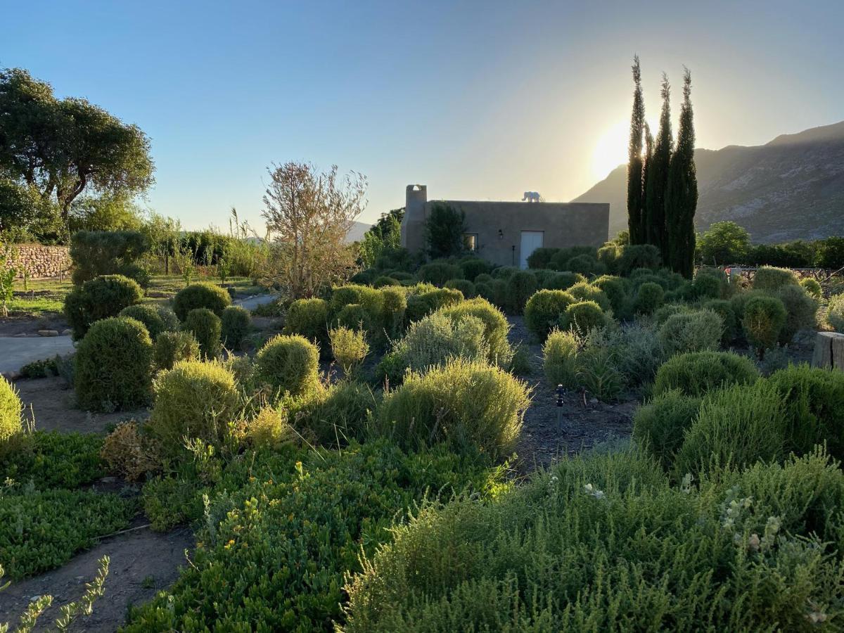 The Olive House, Prince Albert Buitenkant foto