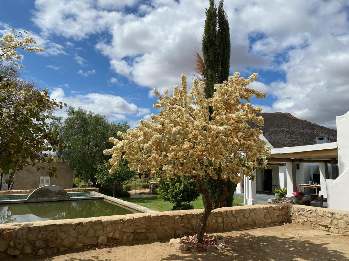 The Olive House, Prince Albert Buitenkant foto